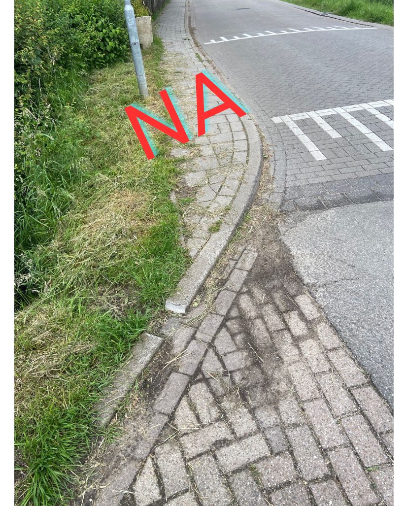 verkeer2.jpg